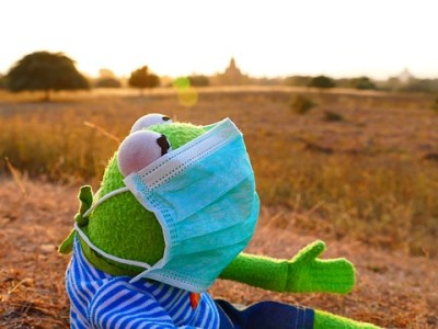 Natural Allergy Relief: 6 Effective&nbsp;Strategies