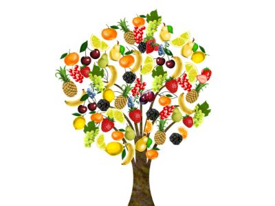 The Importance of Diet and Nutrition in&nbsp;Autoimmunity