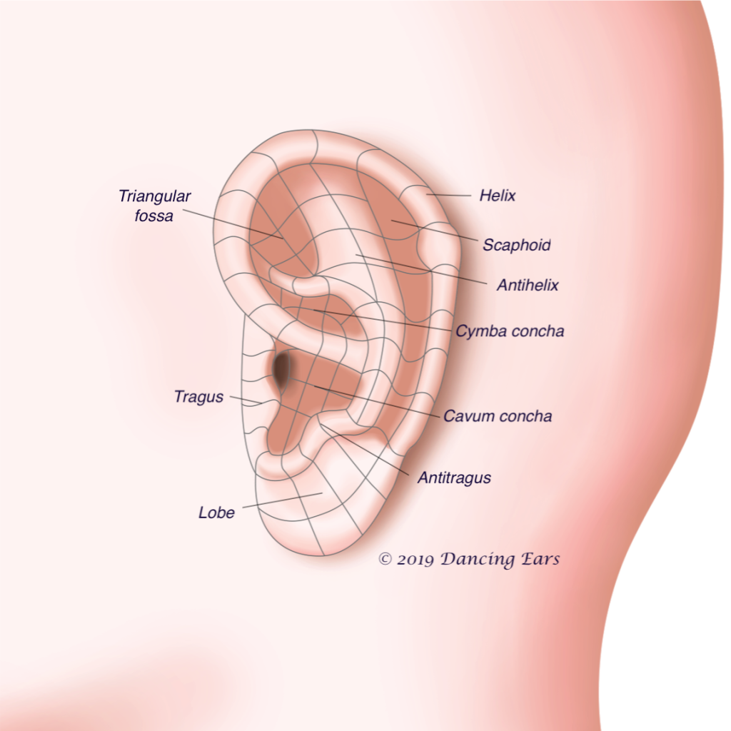 Auricular (Ear) Treatments