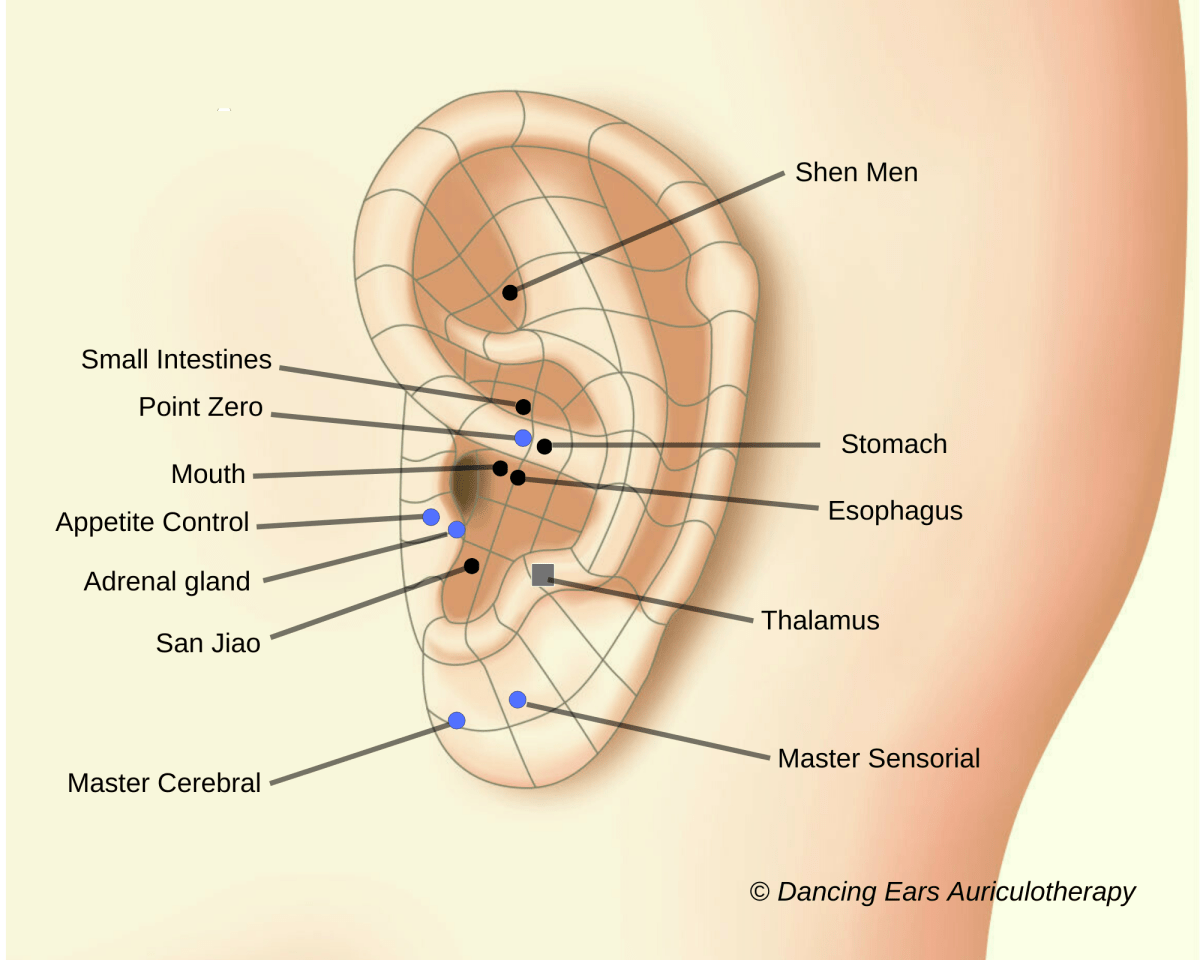 Weight Loss & Eating&nbsp;Disorders