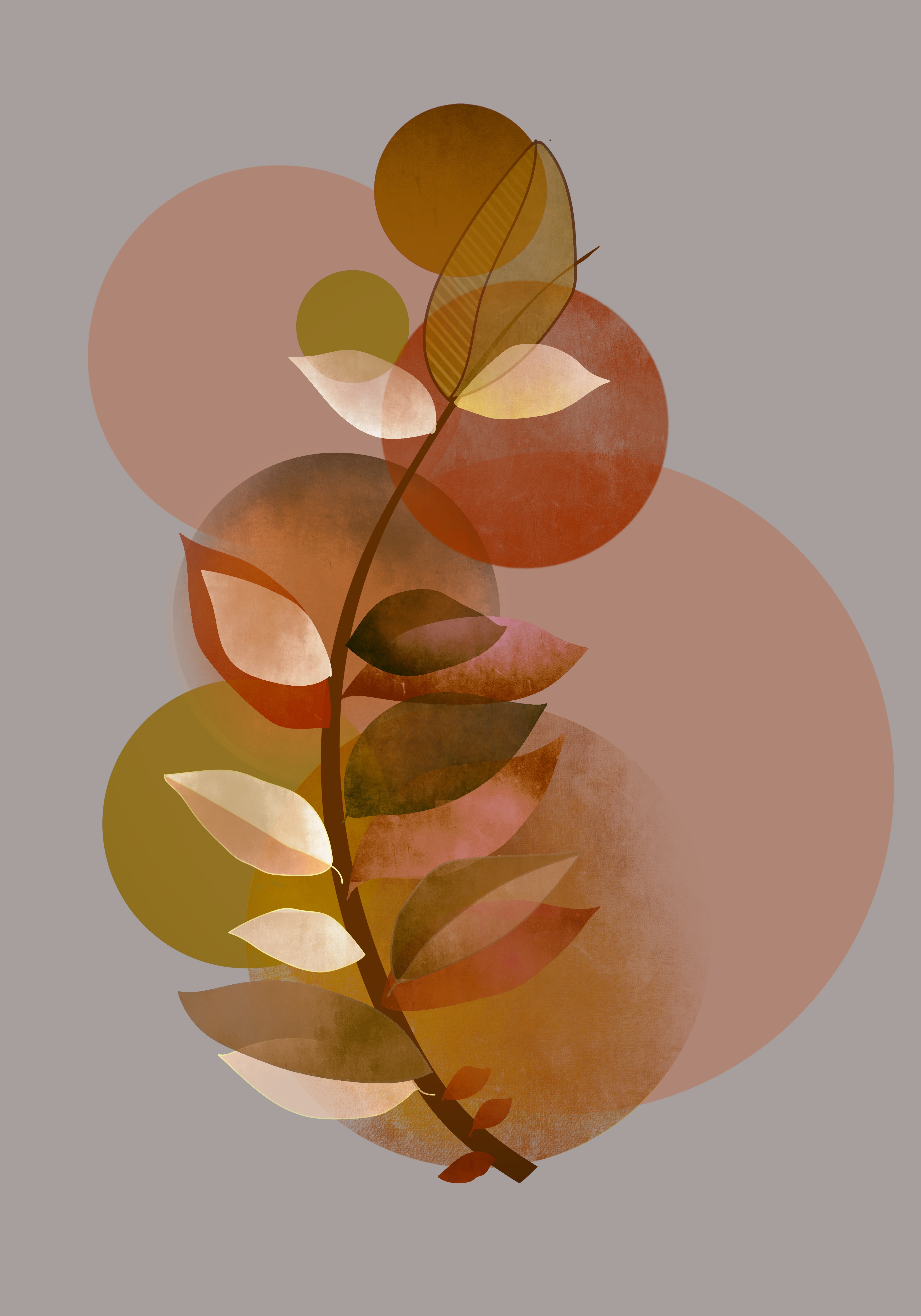 Herbal Signatures: Twigs and Vines for Better Circulation